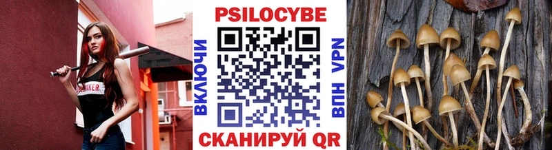 Псилоцибиновые грибы мицелий  Лахденпохья 